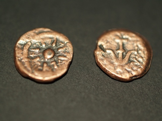 Real-Or-Fake-Widow's-Mite?